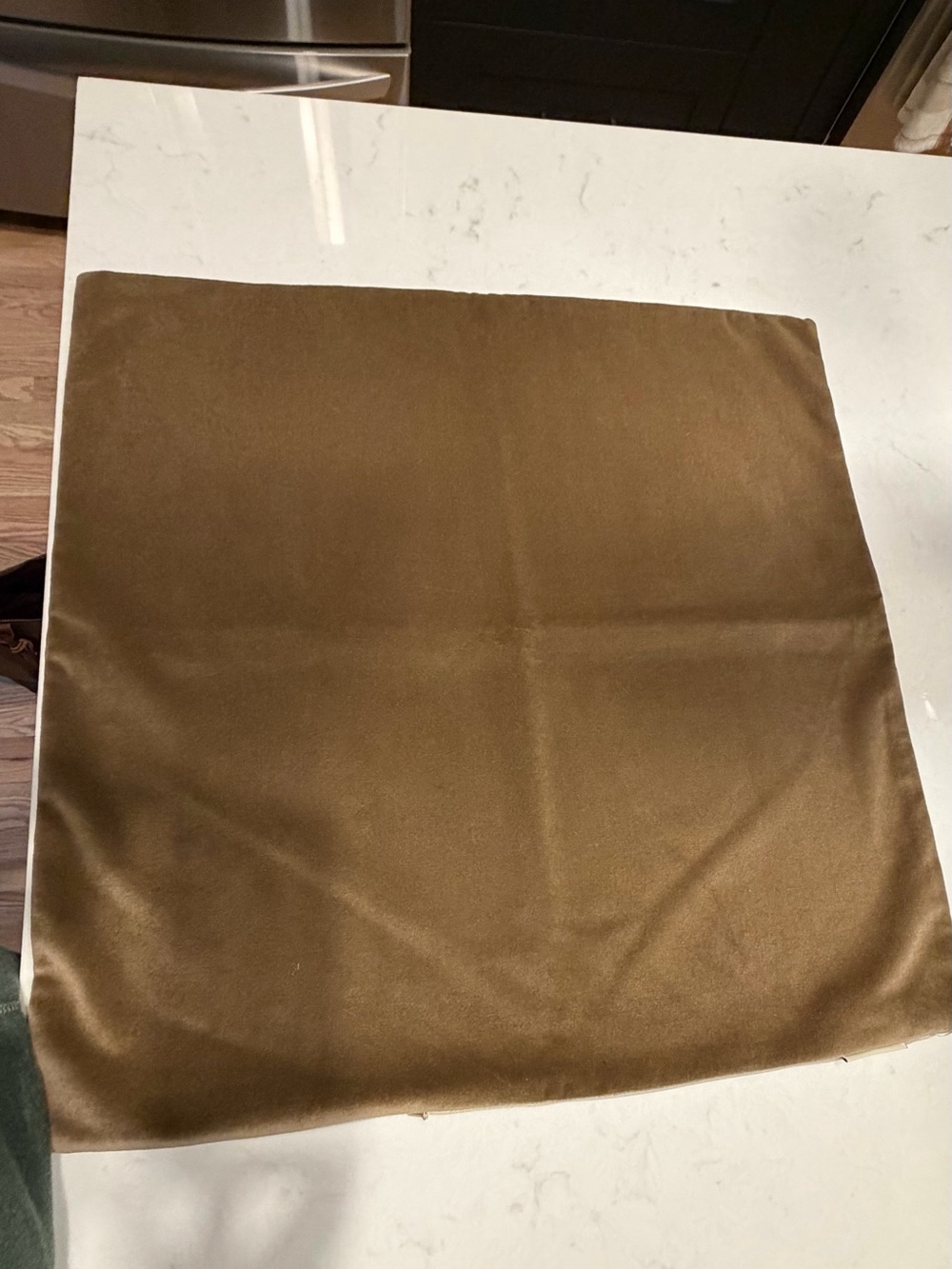 Pottery Barn Taupe Velvet Pillow Cover